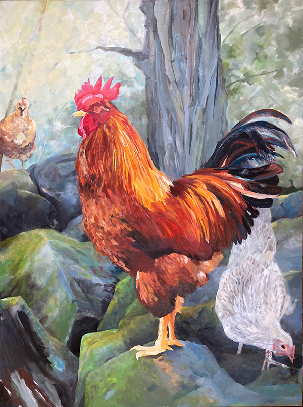 large rooster on rock with 2 hens