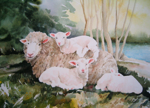 ewe mother with 3 lambs