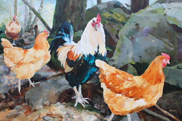 3 chickens and a rooster on rocks