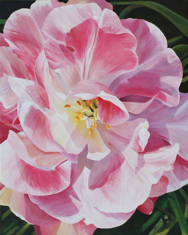 large centre of a pink tulip