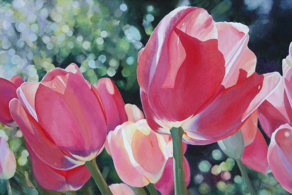 pink tulips in the light